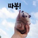따봉.png